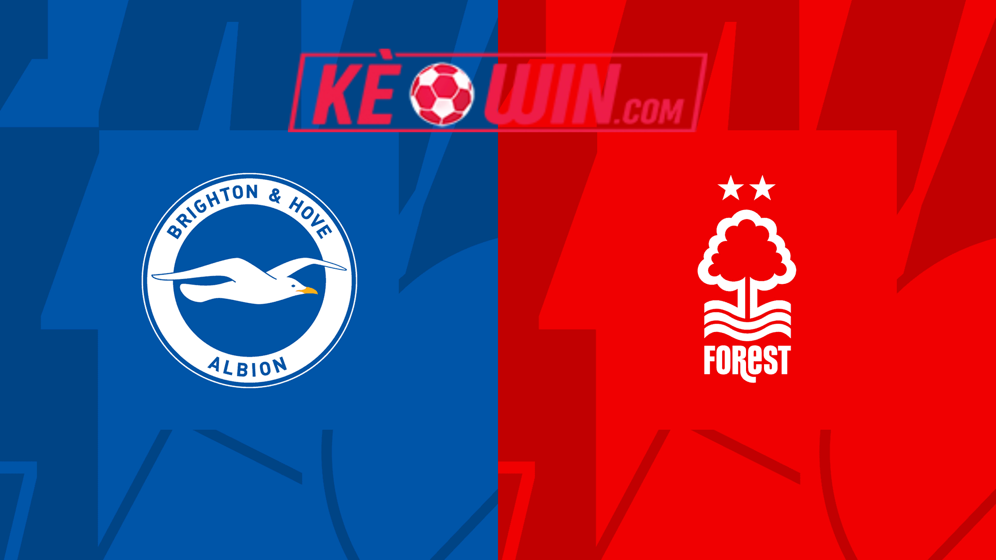 Brighton & Hove Albion vs Nottingham Forest – Soi kèo bóng 21h00 10/03/2024 – Ngoại hạng Anh