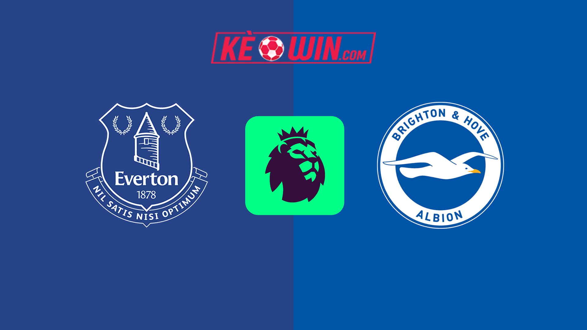 Everton vs Brighton & Hove Albion – Kèo bóng đá 21h00 17/08/2024 – Ngoại hạng Anh