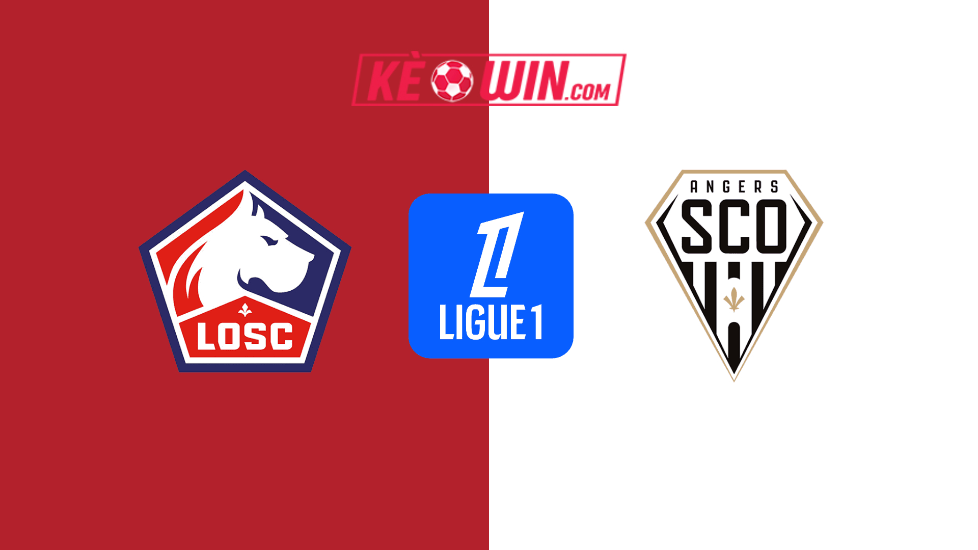 Lille vs Angers – Kèo bóng đá 00h00 25/08/2024 – VĐQG Pháp