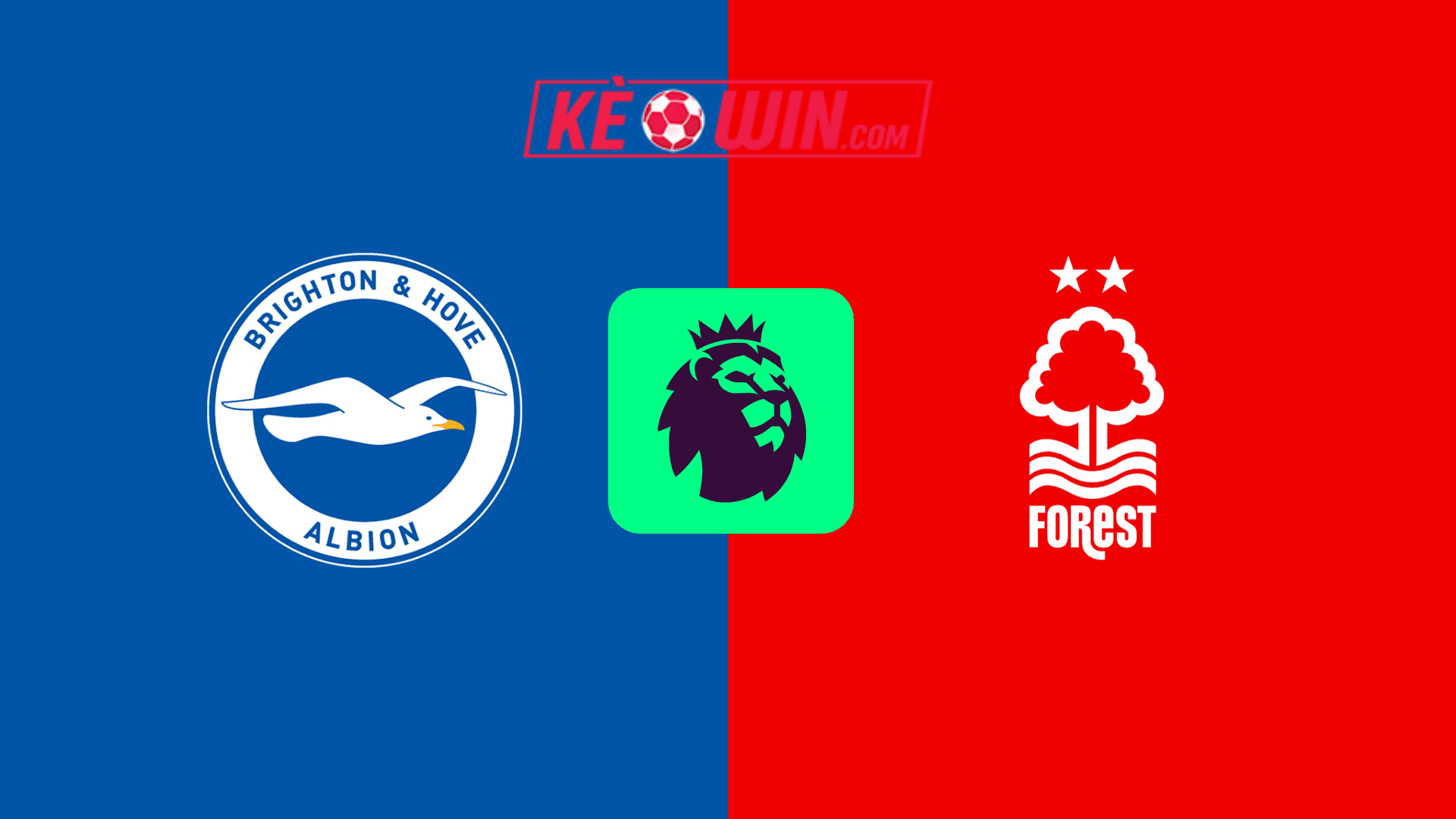 Brighton & Hove Albion vs Nottingham Forest – Kèo bóng đá 20h00 22/09/2024 – Ngoại hạng Anh