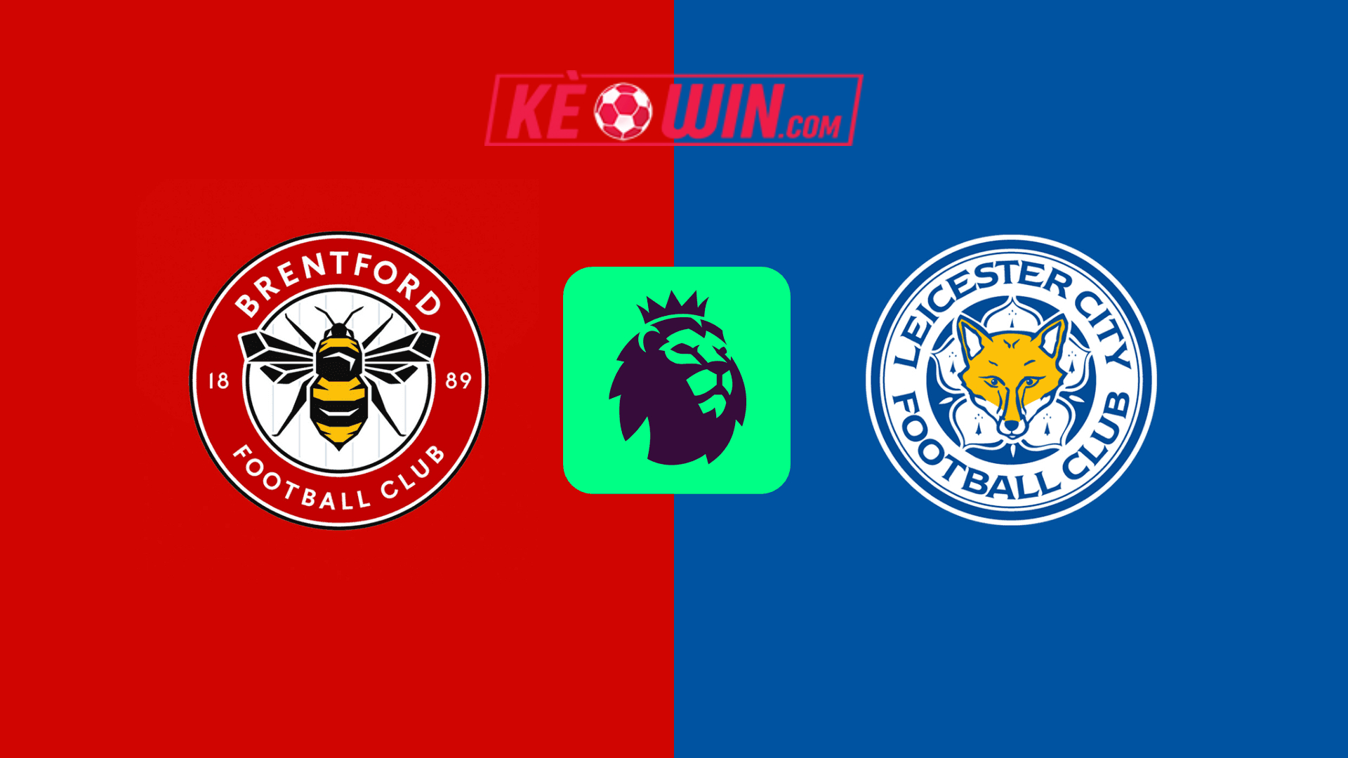 Brentford vs Leicester City – Kèo bóng đá 22h00 30/11/2024 – Ngoại hạng Anh