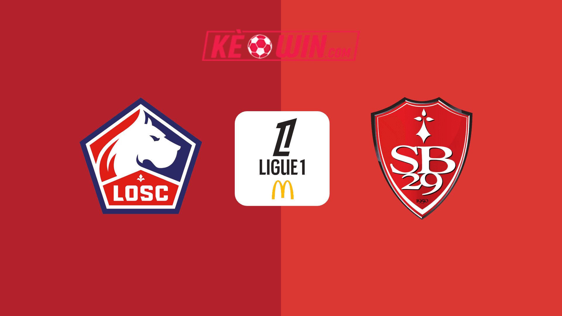 Lille vs Stade Brestois – Kèo bóng đá 01h00 07/12/2024 – VĐQG Pháp